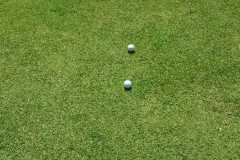 IMG-20211023-WA0088
