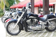 P1200659
