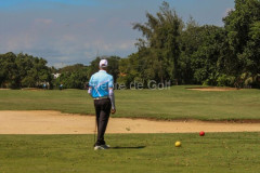 IMG_0882-2